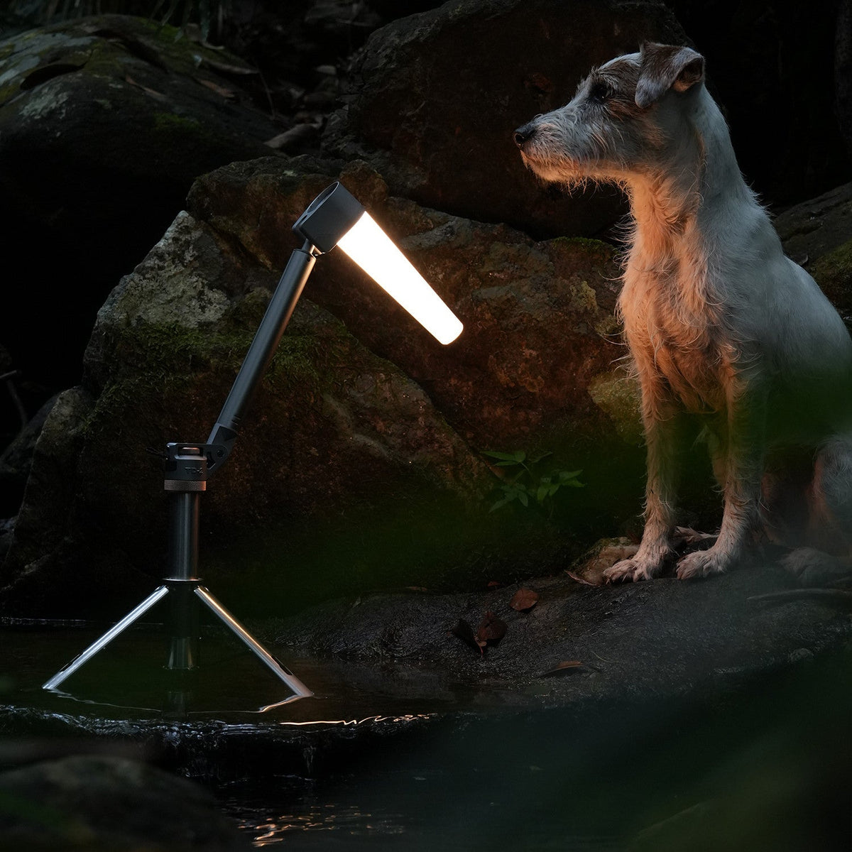 Diffuseur de lumière 360° pour lampe TD-2 | OUTASK Xperts 4x4